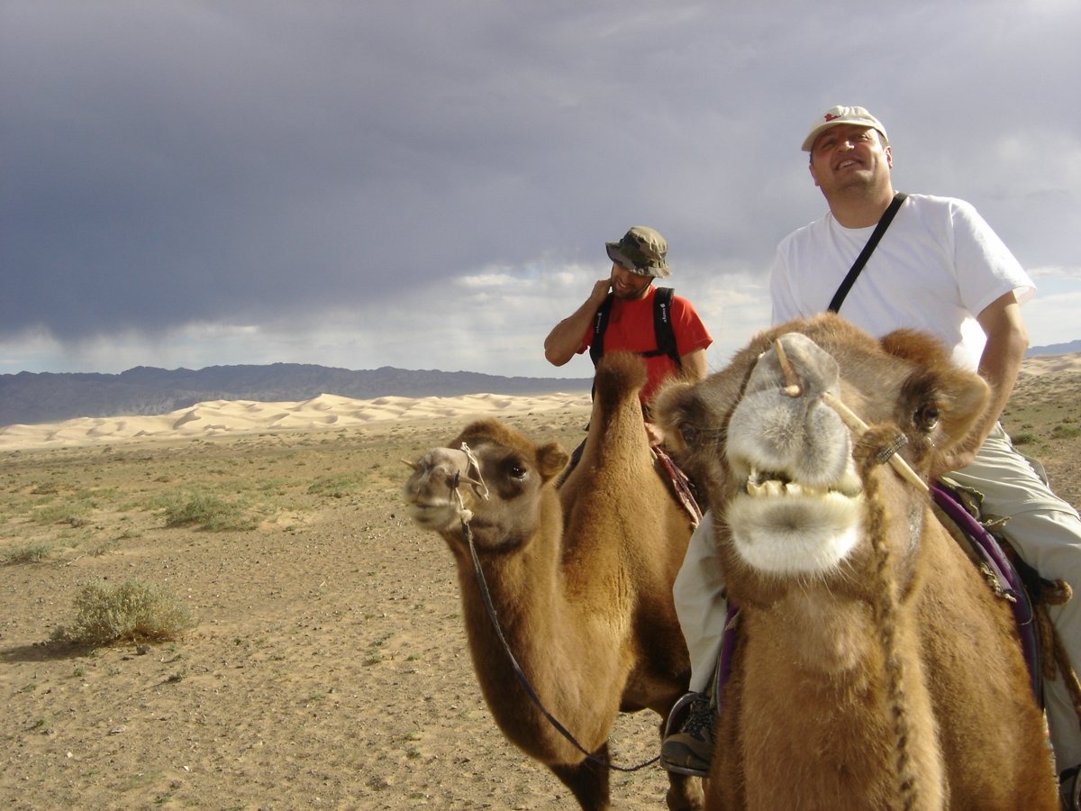 Camel Riding à Matrouh : Une expérience inoubliable à travers le désert - Les bienfaits de l'équitation sur chameau