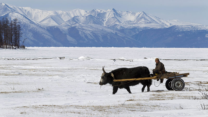 Decouvrir La Mongolie En Hiver Horseback Mongolia